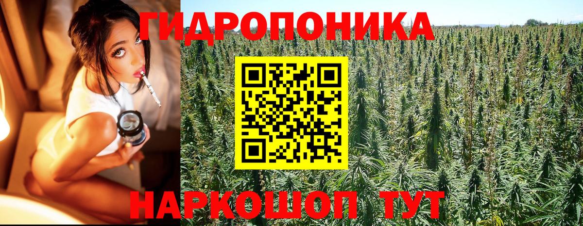 Конопля SATIVA & INDICA  Вход с VPN  Каннабис планчик  Ливны  Бошки Шишки Bruce Banner 
